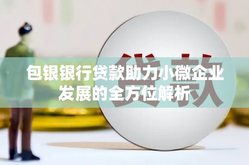 沧县包银银行贷款助力小微企业发展的全方位解析