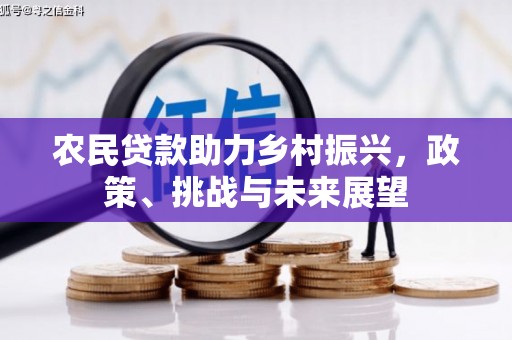 沧县农民贷款助力乡村振兴，政策、挑战与未来展望