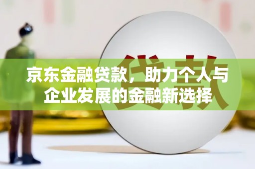沧县京东金融贷款，助力个人与企业发展的金融新选择