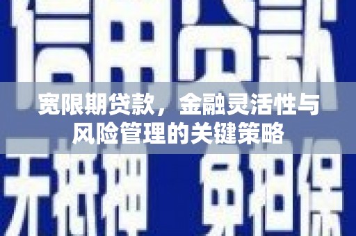 沧县宽限期贷款，金融灵活性与风险管理的关键策略
