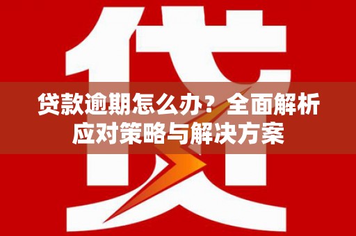 沧县贷款逾期怎么办？全面解析应对策略与解决方案