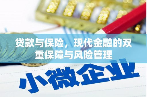 沧县贷款与保险，现代金融的双重保障与风险管理