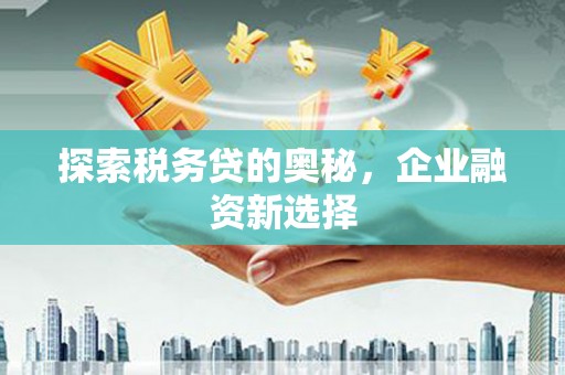 沧县探索税务贷的奥秘，企业融资新选择