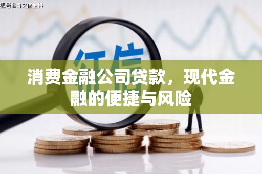 沧县消费金融公司贷款，现代金融的便捷与风险