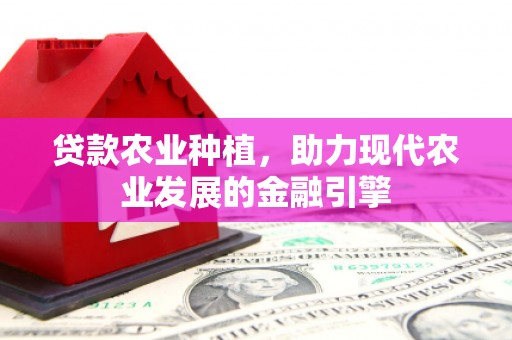沧县贷款农业种植，助力现代农业发展的金融引擎
