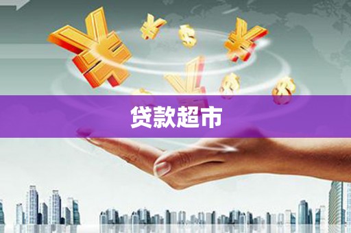 沧县贷款超市