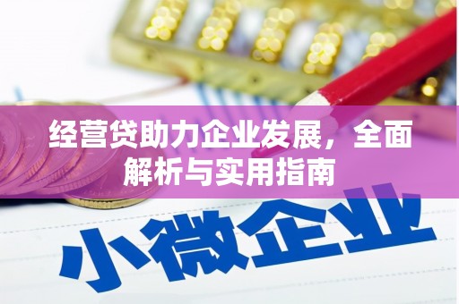沧县经营贷助力企业发展，全面解析与实用指南