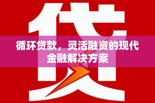 沧县循环贷款，灵活融资的现代金融解决方案