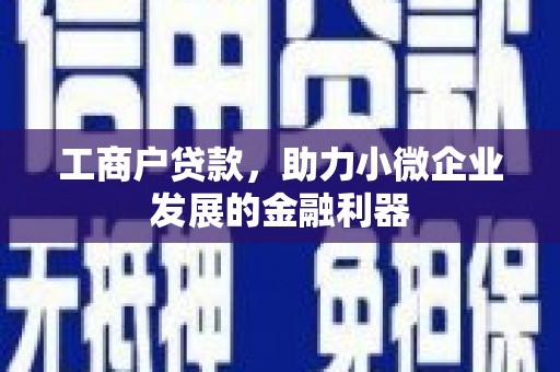 沧县工商户贷款，助力小微企业发展的金融利器