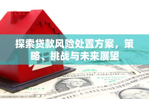 沧县探索贷款风险处置方案，策略、挑战与未来展望