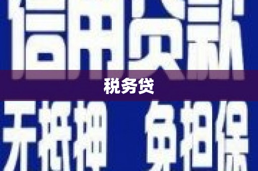 沧县税务贷