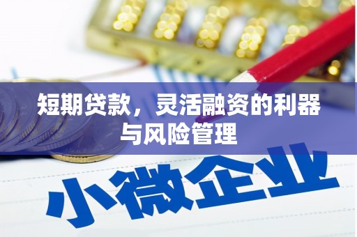 沧县短期贷款，灵活融资的利器与风险管理