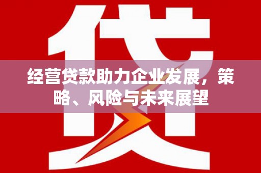 沧县经营贷款助力企业发展，策略、风险与未来展望
