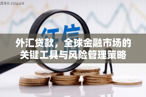 沧县外汇贷款，全球金融市场的关键工具与风险管理策略