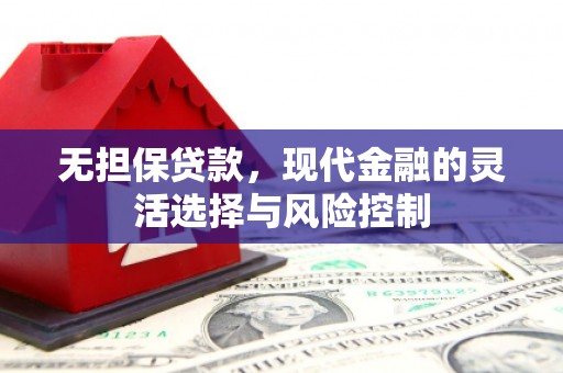 沧县无担保贷款，现代金融的灵活选择与风险控制