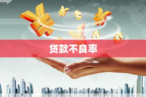 沧县贷款不良率