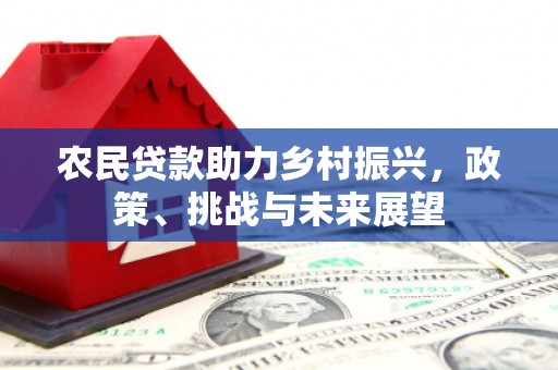 沧县农民贷款助力乡村振兴，政策、挑战与未来展望