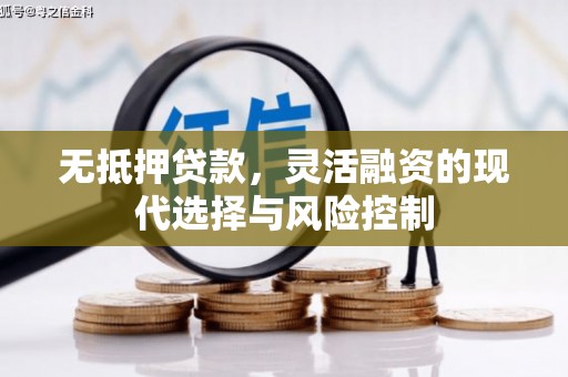 沧县无抵押贷款，灵活融资的现代选择与风险控制