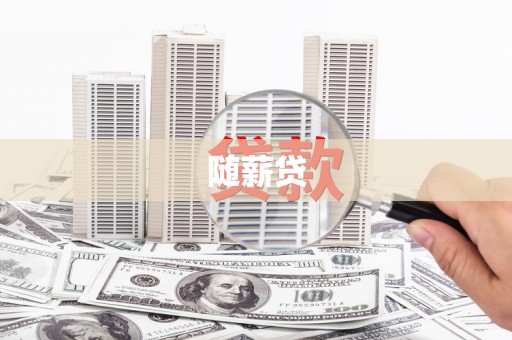 沧县随薪贷