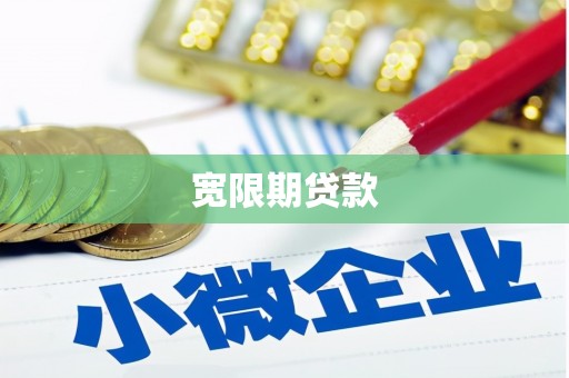 沧县宽限期贷款
