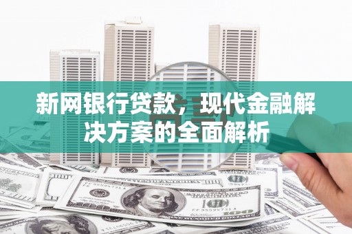 沧县新网银行贷款，现代金融解决方案的全面解析