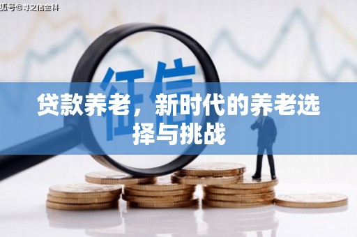 沧县贷款养老，新时代的养老选择与挑战