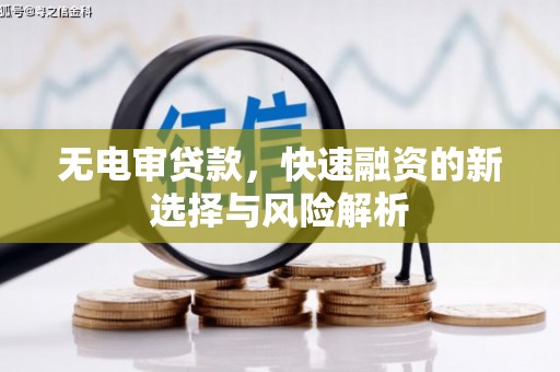 沧县无电审贷款，快速融资的新选择与风险解析