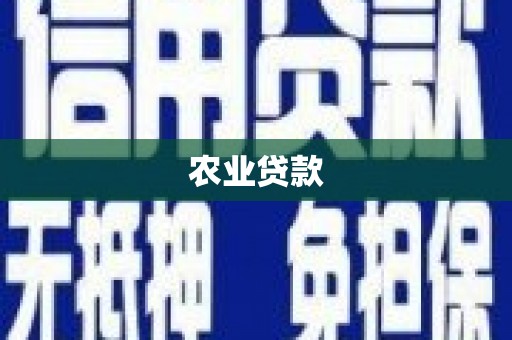 沧县农业贷款