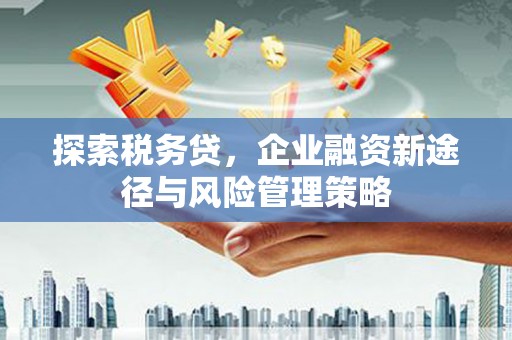 沧县探索税务贷，企业融资新途径与风险管理策略