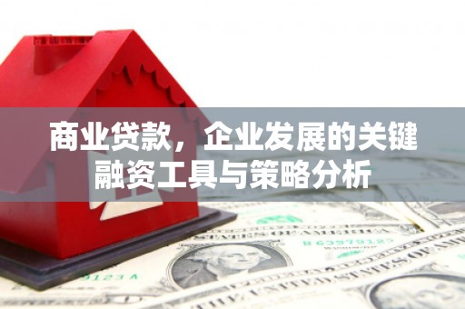 沧县商业贷款，企业发展的关键融资工具与策略分析