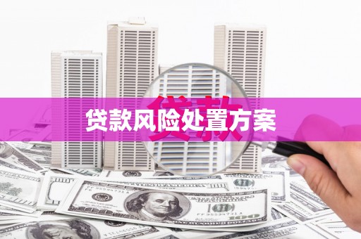 沧县贷款风险处置方案