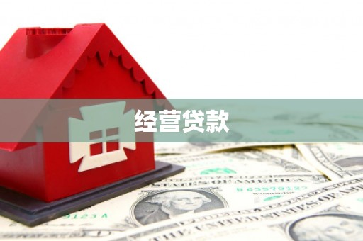 沧县经营贷款