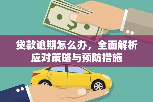 沧县贷款逾期怎么办，全面解析应对策略与预防措施