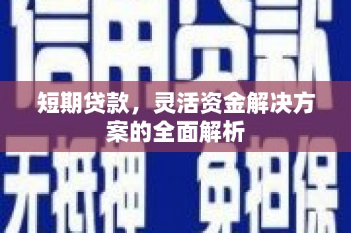 沧县短期贷款，灵活资金解决方案的全面解析