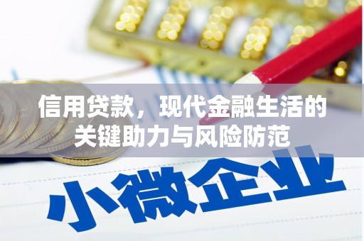 沧县信用贷款，现代金融生活的关键助力与风险防范