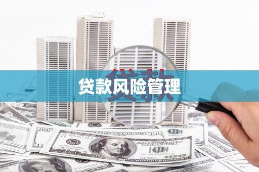 沧县贷款风险管理
