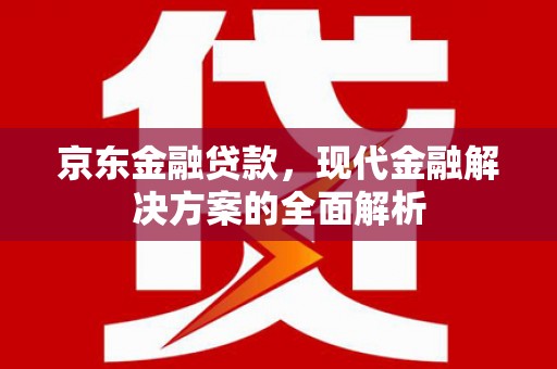 沧县京东金融贷款，现代金融解决方案的全面解析