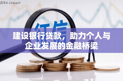 沧县建设银行贷款，助力个人与企业发展的金融桥梁