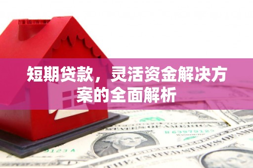 沧县短期贷款，灵活资金解决方案的全面解析