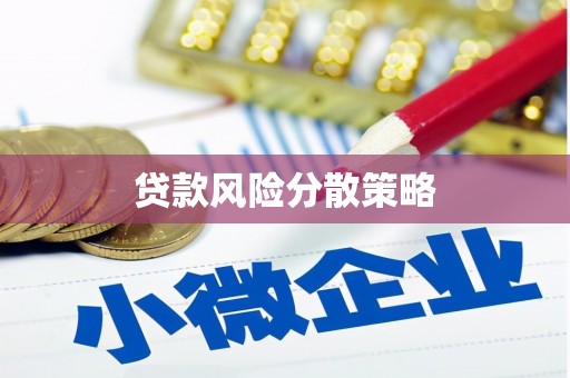 沧县贷款风险分散策略