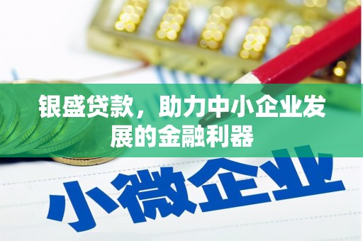 沧县银盛贷款，助力中小企业发展的金融利器