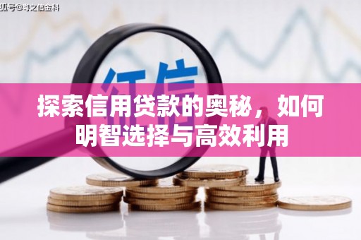 沧县探索信用贷款的奥秘，如何明智选择与高效利用
