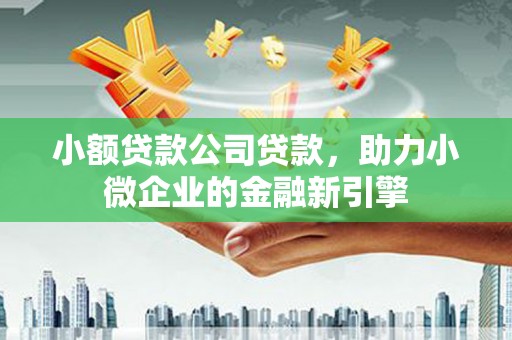 沧县小额贷款公司贷款，助力小微企业的金融新引擎