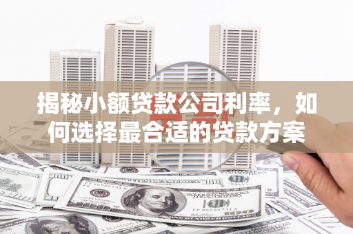 沧县揭秘小额贷款公司利率，如何选择最合适的贷款方案