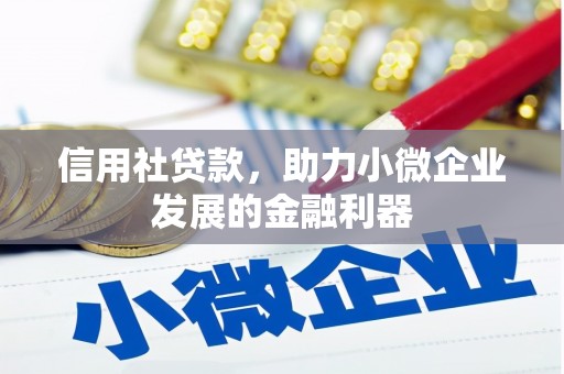 沧县信用社贷款，助力小微企业发展的金融利器