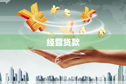 沧县经营贷款