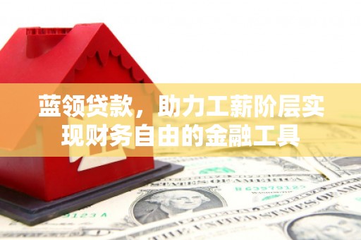 沧县蓝领贷款，助力工薪阶层实现财务自由的金融工具