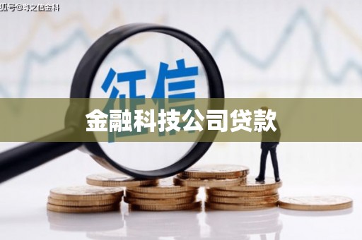 沧县金融科技公司贷款