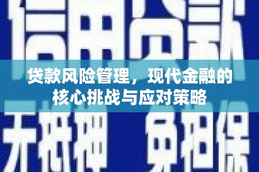 沧县贷款风险管理，现代金融的核心挑战与应对策略