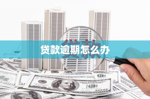 沧县贷款逾期怎么办